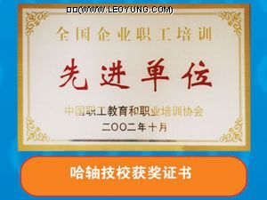 榮譽(yù)資質(zhì)